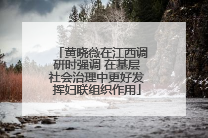黄晓薇在江西调研时强调 在基层社会治理中更好发挥妇联组织作用