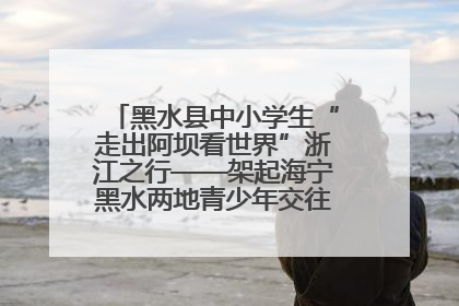 黑水县中小学生“走出阿坝看世界”浙江之行——架起海宁黑水两地青少年交往交流交融新桥梁
