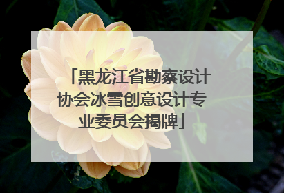 黑龙江省勘察设计协会冰雪创意设计专业委员会揭牌
