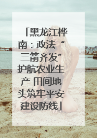 黑龙江桦南：政法“三箭齐发”护航农业生产 田间地头筑牢平安建设防线