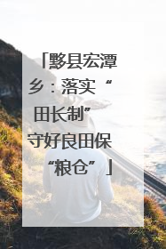 黟县宏潭乡：落实“田长制” 守好良田保“粮仓”
