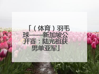 （体育）羽毛球——新加坡公开赛：陆光祖获男单亚军