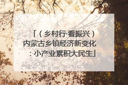 （乡村行·看振兴）内蒙古乡镇经济新变化：小产业累积大民生