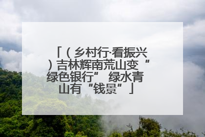 （乡村行·看振兴）吉林辉南荒山变“绿色银行” 绿水青山有“钱景”