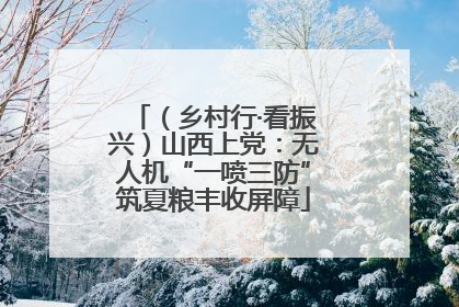 （乡村行·看振兴）山西上党：无人机“一喷三防”筑夏粮丰收屏障