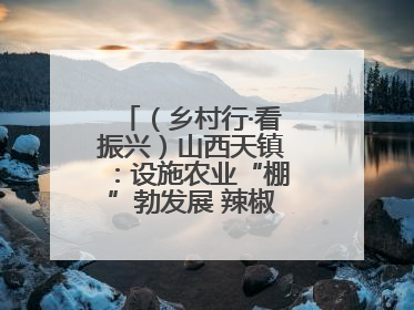 （乡村行·看振兴）山西天镇：设施农业“棚”勃发展 辣椒产业蓄势待发
