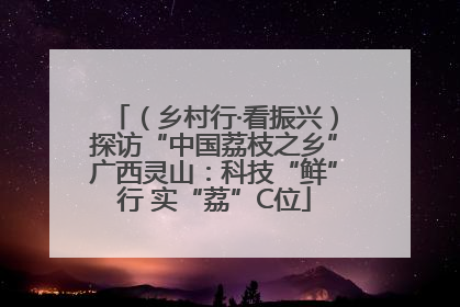 （乡村行·看振兴）探访“中国荔枝之乡”广西灵山：科技“鲜”行 实“荔”C位