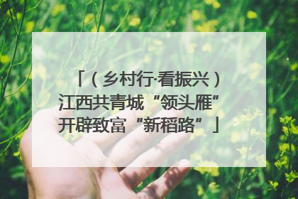 （乡村行·看振兴）江西共青城“领头雁”开辟致富“新稻路”