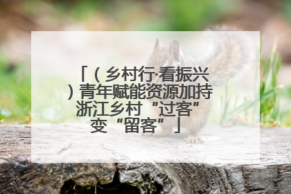 （乡村行·看振兴）青年赋能资源加持 浙江乡村“过客”变“留客”