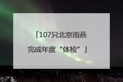 107只北京雨燕完成年度“体检”