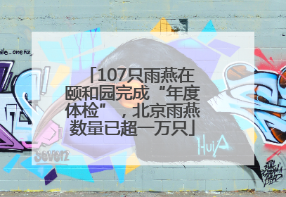 107只雨燕在颐和园完成“年度体检”，北京雨燕数量已超一万只