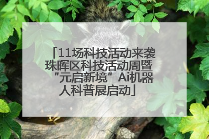11场科技活动来袭 珠晖区科技活动周暨“元启新境”Ai机器人科普展启动