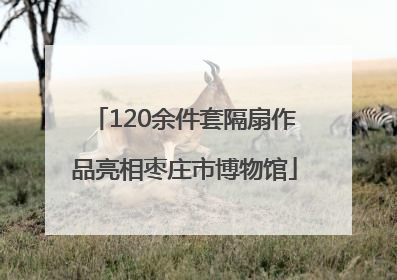 120余件套隔扇作品亮相枣庄市博物馆
