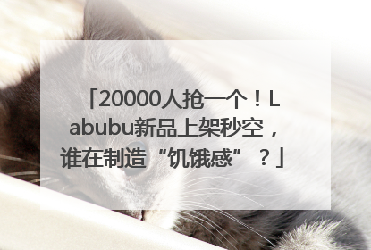20000人抢一个！Labubu新品上架秒空，谁在制造“饥饿感”？