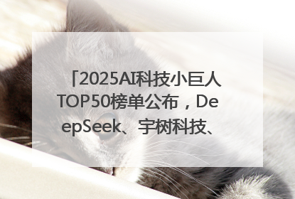 2025AI科技小巨人TOP50榜单公布，DeepSeek、宇树科技、蘑菇车联等企业荣誉上榜