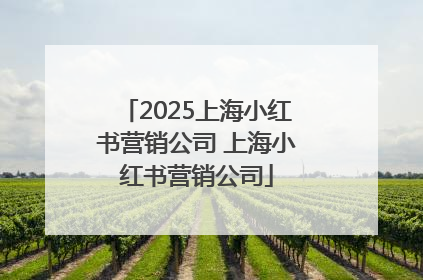 2025上海小红书营销公司 上海小红书营销公司