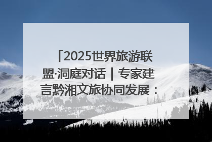2025世界旅游联盟·洞庭对话｜专家建言黔湘文旅协同发展：聚焦产品稀缺性 深化区域经验共享