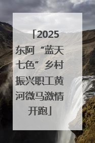 2025东阿“蓝天七色”乡村振兴职工黄河微马激情开跑