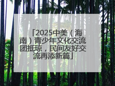 2025中美（海南）青少年文化交流团抵琼，民间友好交流再添新篇