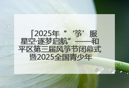 2025年“‘筝’服星空·逐梦启航”——和平区第三届风筝节闭幕式 暨2025全国青少年风筝制作放飞赛（沈阳站）颁奖仪式