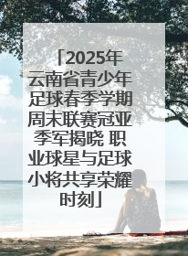 2025年云南省青少年足球春季学期周末联赛冠亚季军揭晓 职业球星与足球小将共享荣耀时刻