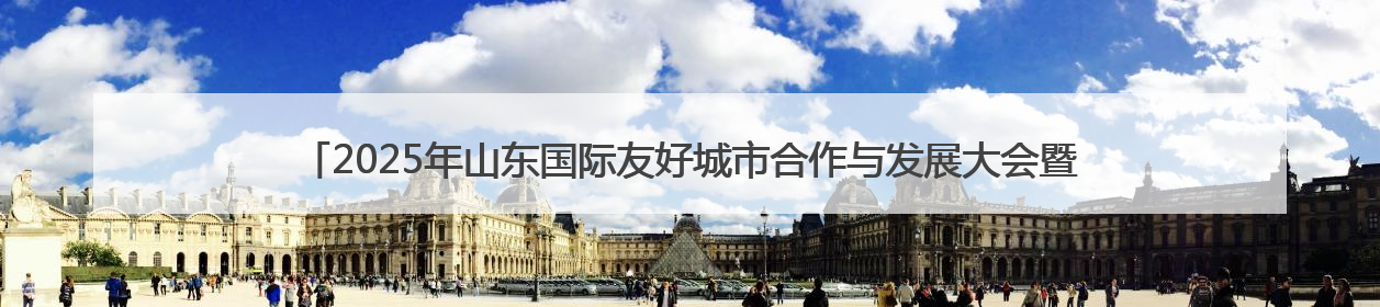 2025年山东国际友好城市合作与发展大会暨印尼楠榜省·山东省招商交流会在济南槐荫举行