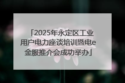 2025年永定区工业用户电力座谈培训暨电e金服推介会成功举办