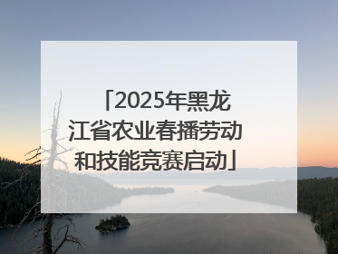 2025年黑龙江省农业春播劳动和技能竞赛启动