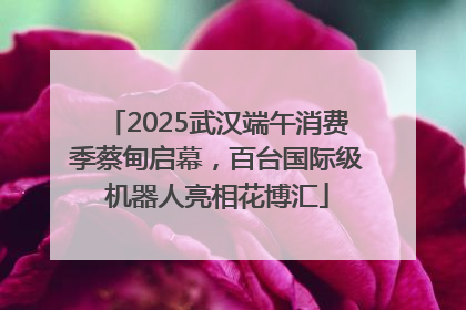 2025武汉端午消费季蔡甸启幕，百台国际级机器人亮相花博汇