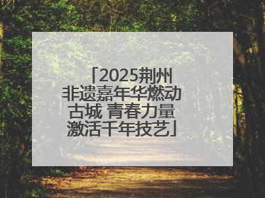 2025荆州非遗嘉年华燃动古城 青春力量激活千年技艺