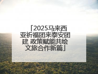 2025马来西亚祈福团来泰安团建 政策赋能共绘文旅合作新篇