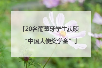 20名葡萄牙学生获颁“中国大使奖学金”