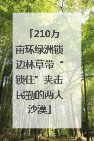 210万亩环绿洲锁边林草带“锁住”夹击民勤的两大沙漠