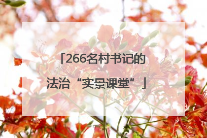 266名村书记的法治“实景课堂”