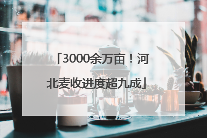 3000余万亩！河北麦收进度超九成