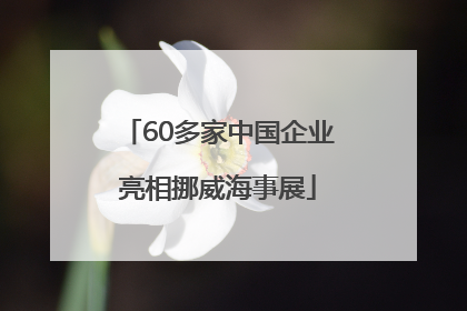 60多家中国企业亮相挪威海事展