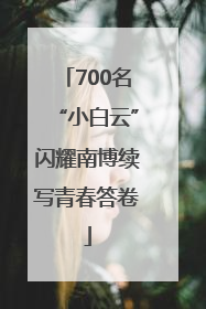 700名“小白云”闪耀南博续写青春答卷