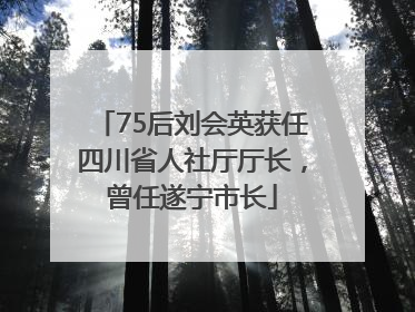 75后刘会英获任四川省人社厅厅长，曾任遂宁市长