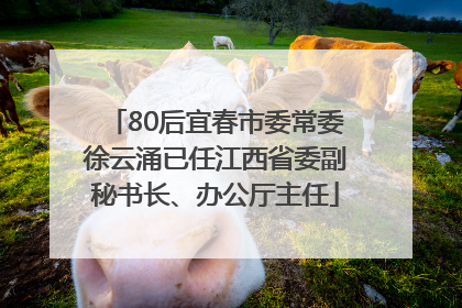 80后宜春市委常委徐云涌已任江西省委副秘书长、办公厅主任