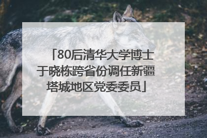 80后清华大学博士于晓栋跨省份调任新疆塔城地区党委委员