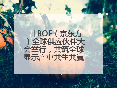 BOE（京东方）全球供应伙伴大会举行，共筑全球显示产业共生共赢新格局