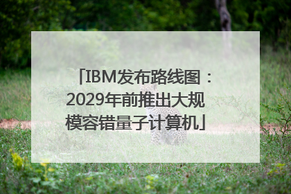IBM发布路线图：2029年前推出大规模容错量子计算机
